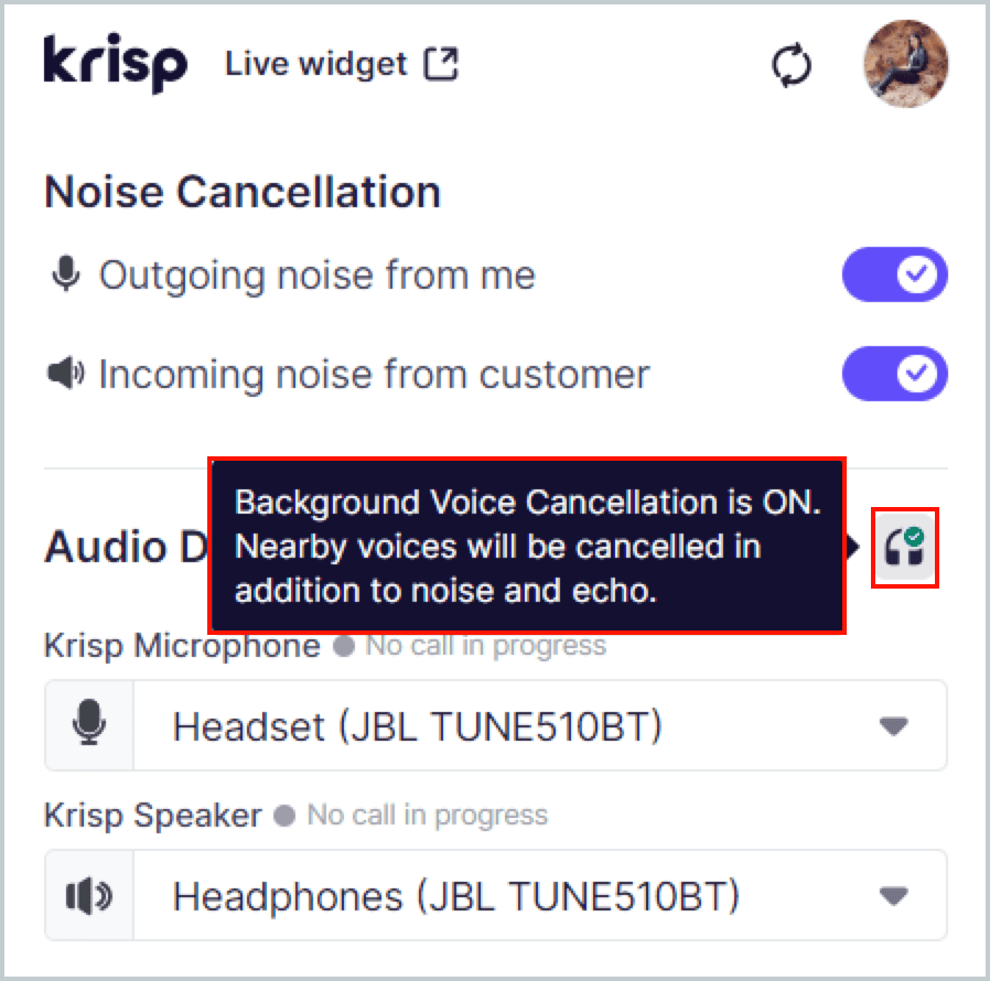 Krisp interface showing toggle buttons 